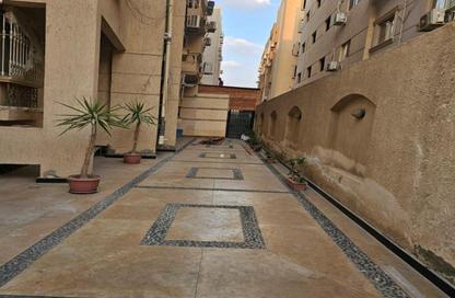 Apartment - 3 Bedrooms - 2 Bathrooms for sale in South Lotus - El Lotus - New Cairo City - Cairo