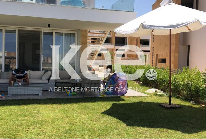 8577154 - صورة العقار 3