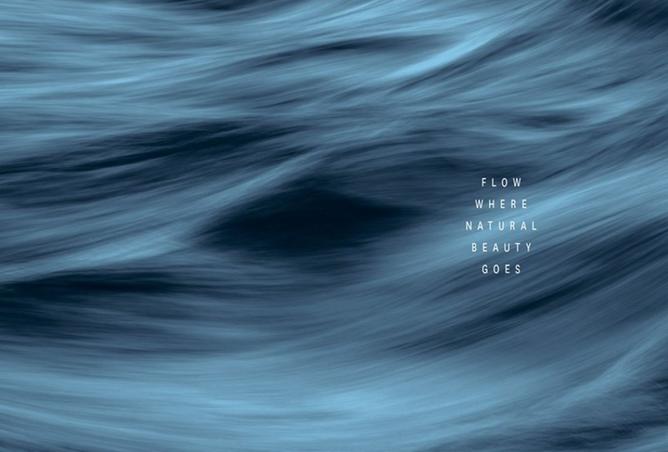 8527919 - Property Image 3