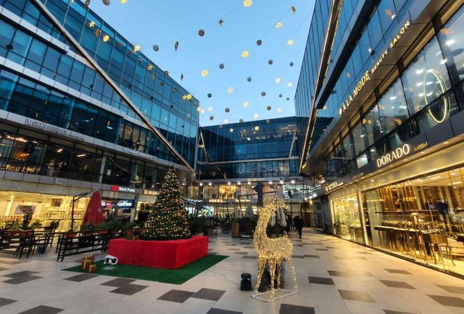 58244187 - Property Image 3