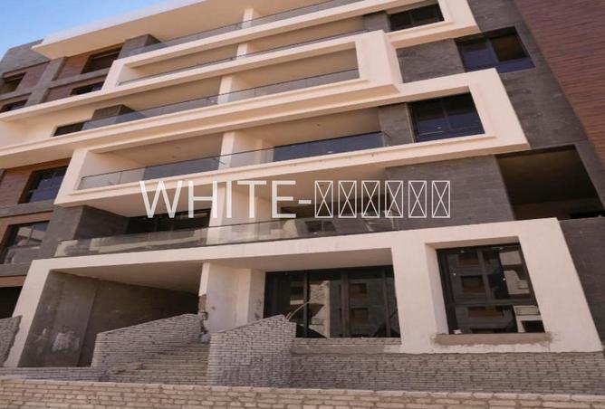 74027145 - Property Image 3