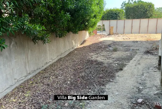 112981244 - Property Image 3
