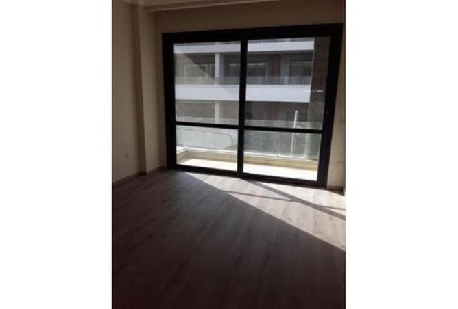 54751172 - Property Image 2