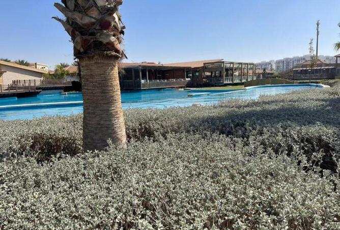 70635878 - صورة العقار 3