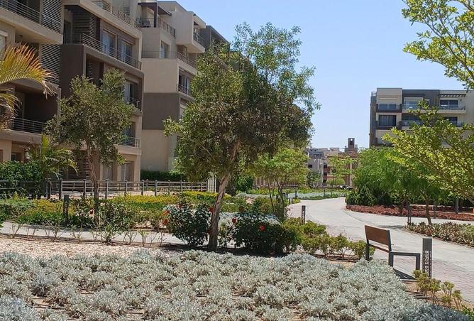 81043610 - صورة العقار 3