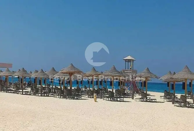 109920945 - صورة العقار 3