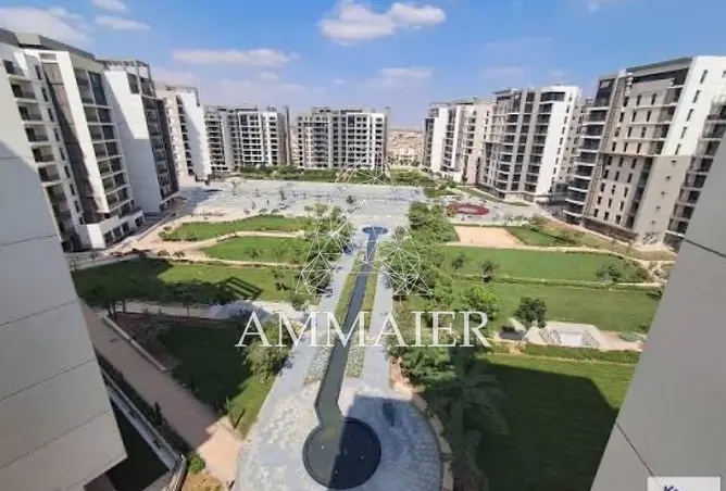 113818419 - Property Image 3