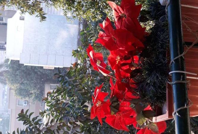 54230880 - Property Image 2