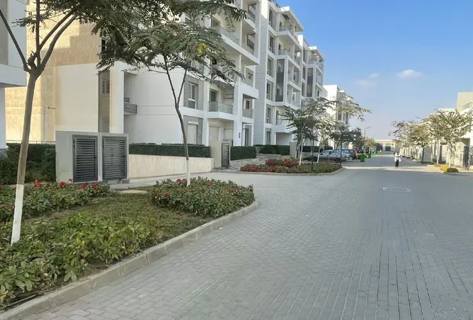 101493589 - Property Image 2