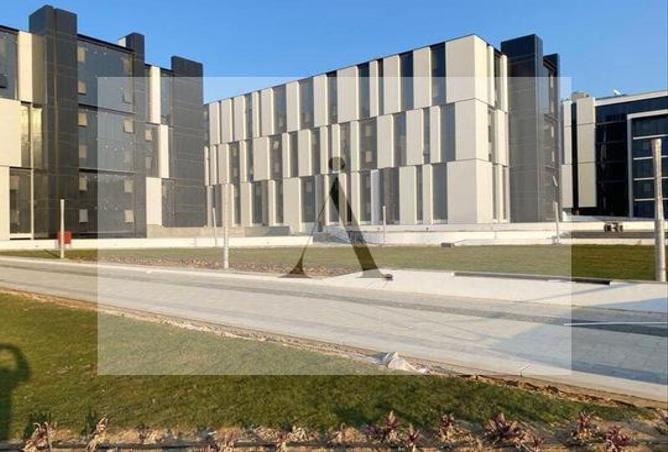 64381486 - صورة العقار 3