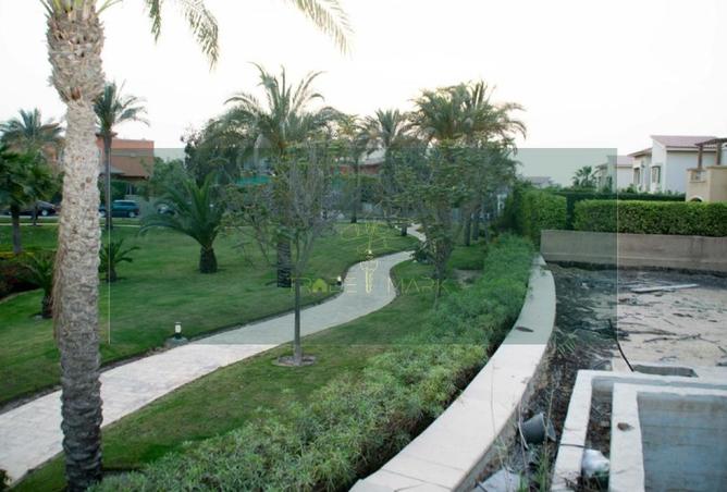 98827989 - صورة العقار 2