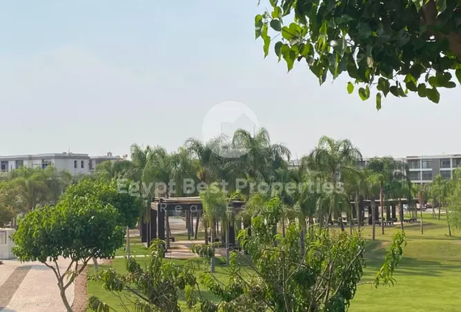 115446361 - Property Image 2