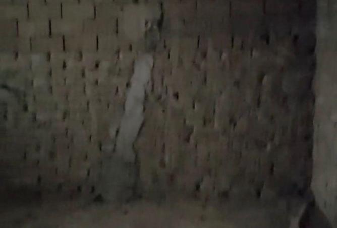 58007480 - Property Image 3