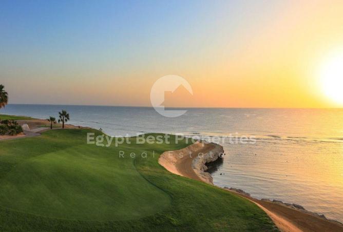 84248195 - Property Image 2
