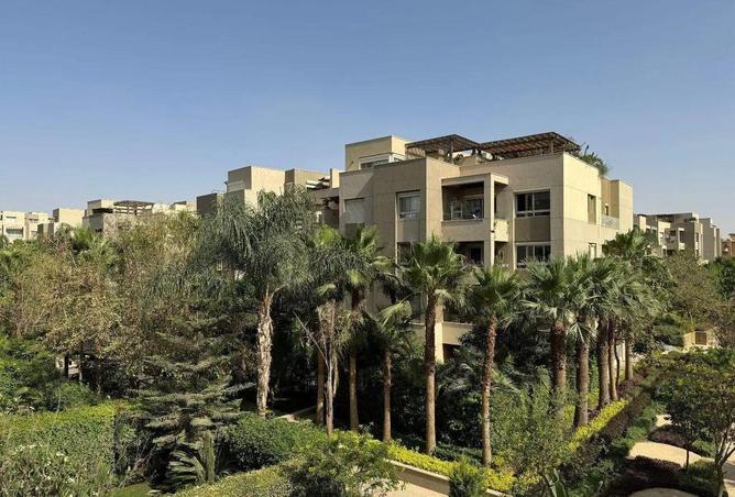 56258472 - صورة العقار 3