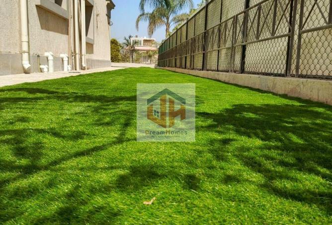 64902936 - صورة العقار 3