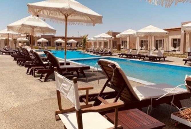 97714548 - صورة العقار 3