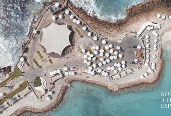 66430622 - Property Image 3