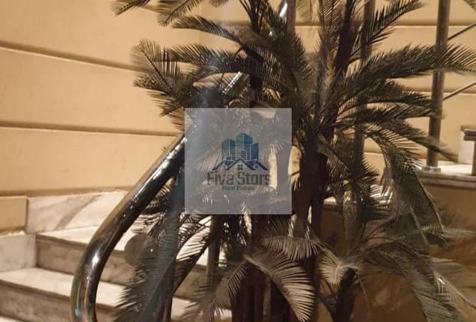 55761764 - Property Image 2