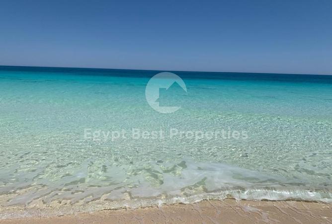 82881270 - صورة العقار 2