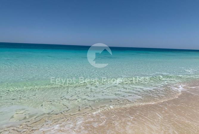82881270 - صورة العقار 3