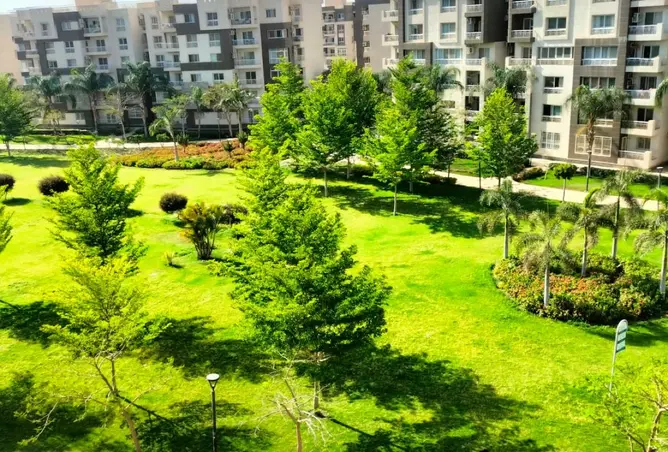 118813041 - صورة العقار 2