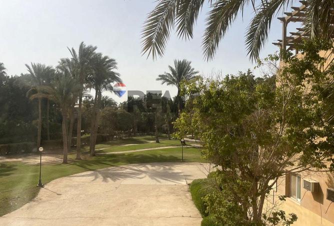 56242416 - Property Image 2