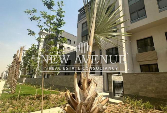 66174722 - Property Image 3