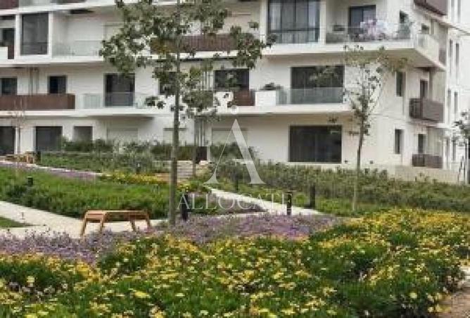 81041135 - Property Image 3