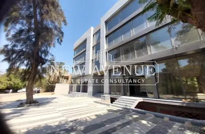 Whole Building - Studio - 3 Bathrooms for sale in Nasr St. - Hay El Maadi - Cairo