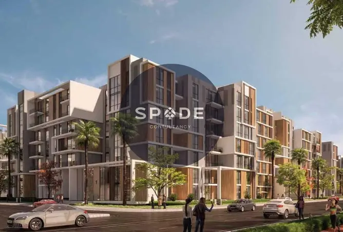 113824881 - Property Image 3