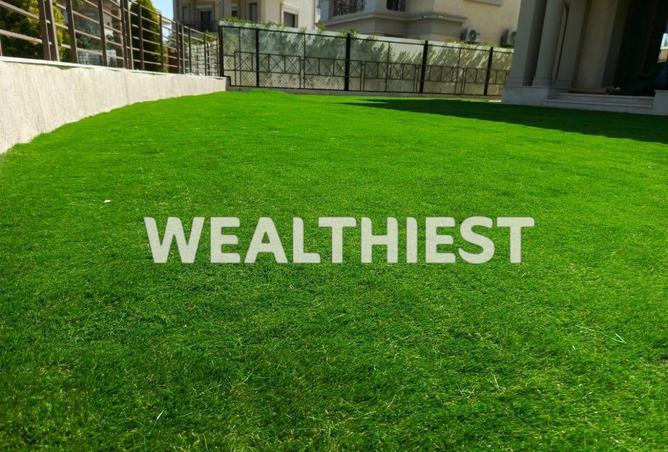 65657618 - صورة العقار 3