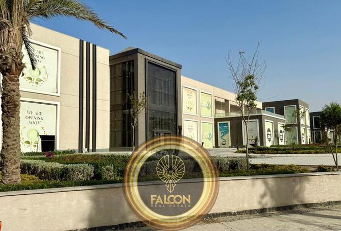 74586266 - صورة العقار 3