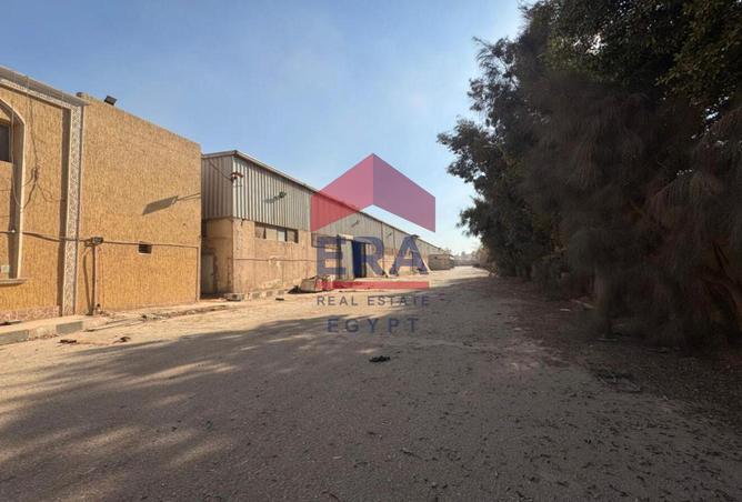 56248099 - صورة العقار 3