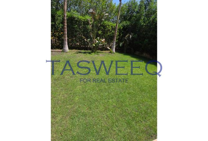 64137325 - صورة العقار 3