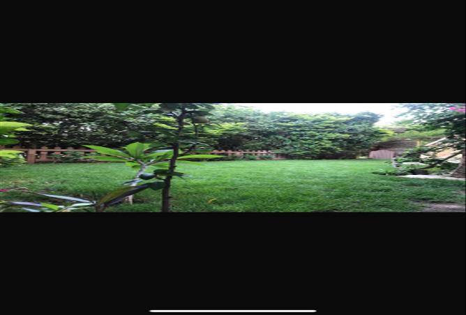 68016352 - الصورة الرئيسية للعقار