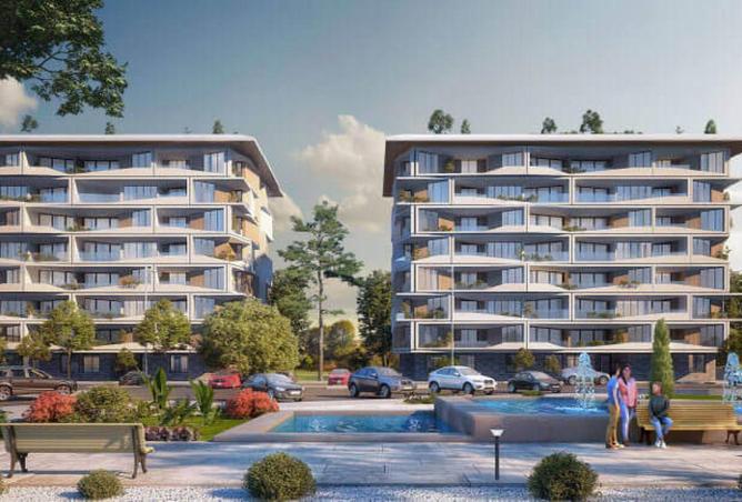 53729958 - Property Image 3