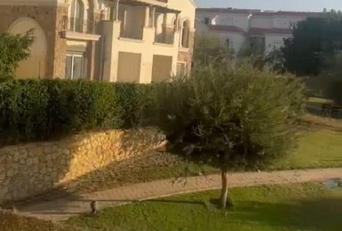 63136231 - صورة العقار 2