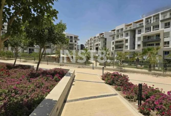 61687983 - Property Image 3