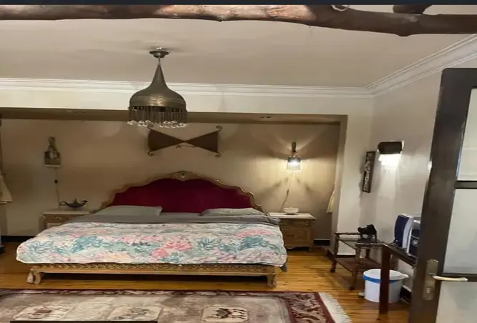55008038 - صورة العقار 3