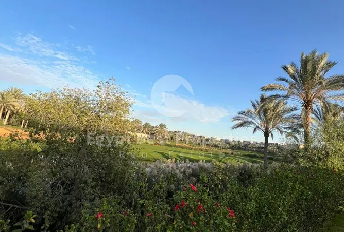 117534221 - Property Image 2