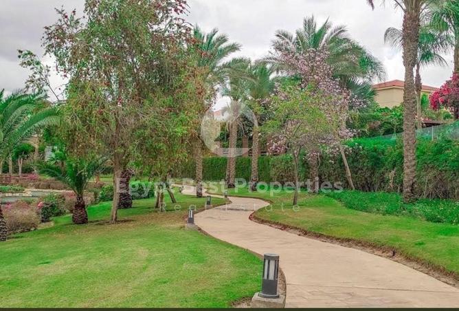 8720954 - صورة العقار 3