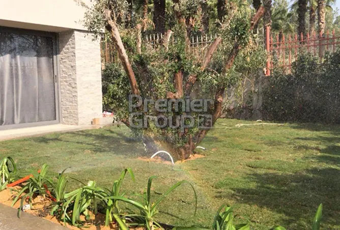 113826867 - Property Image 3
