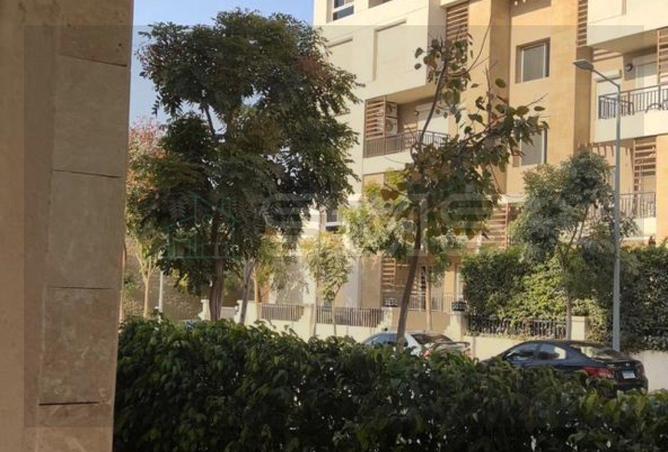 67739334 - صورة العقار 3