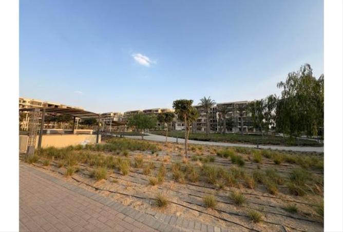 66964921 - Property Image 3