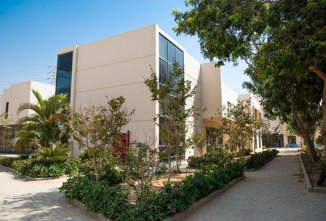 2P4LNmgONto - صورة العقار 3