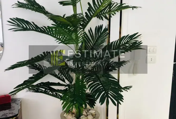 113825432 - Property Image 3