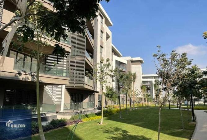 8597556 - Property Image 3