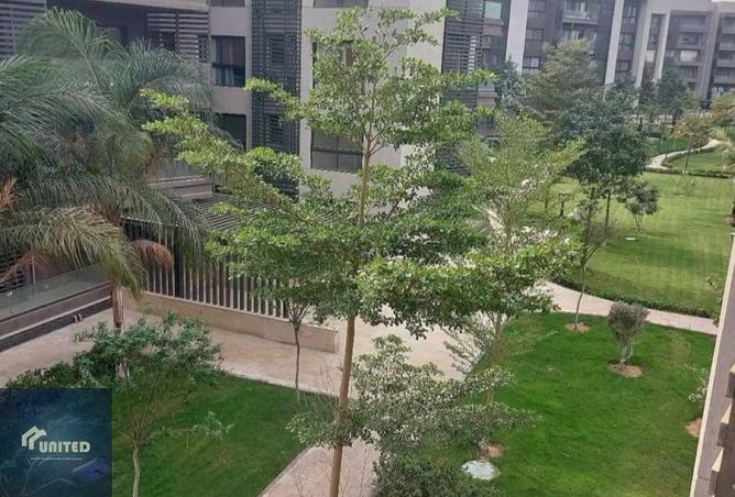 8597556 - Property Image 2