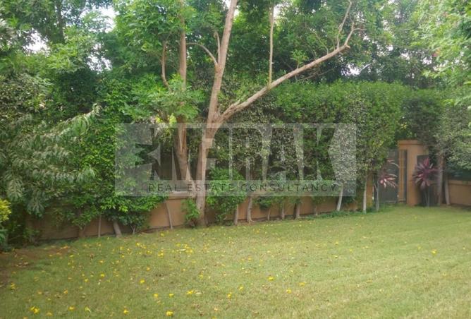 65162309 - صورة العقار 3